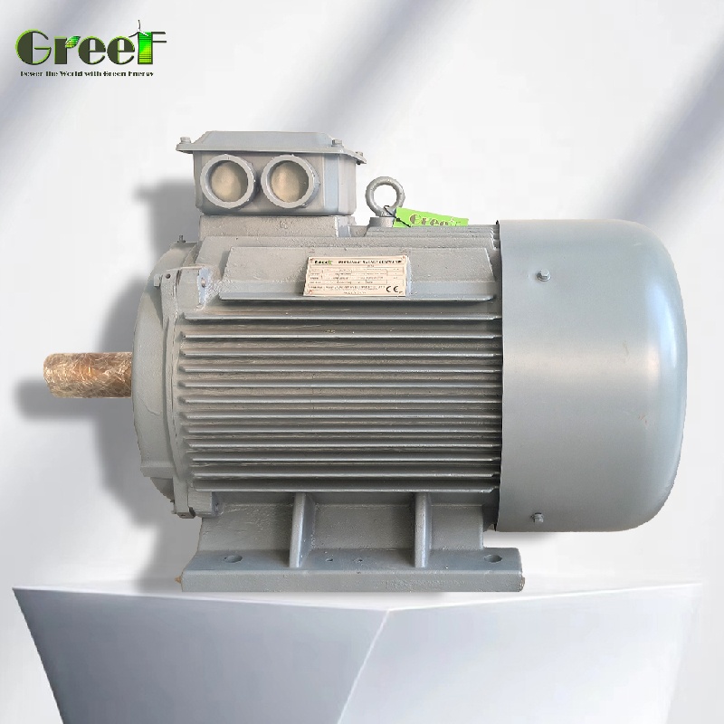 Renewable Energy Hydro - Générateur à aimants permanents à faible